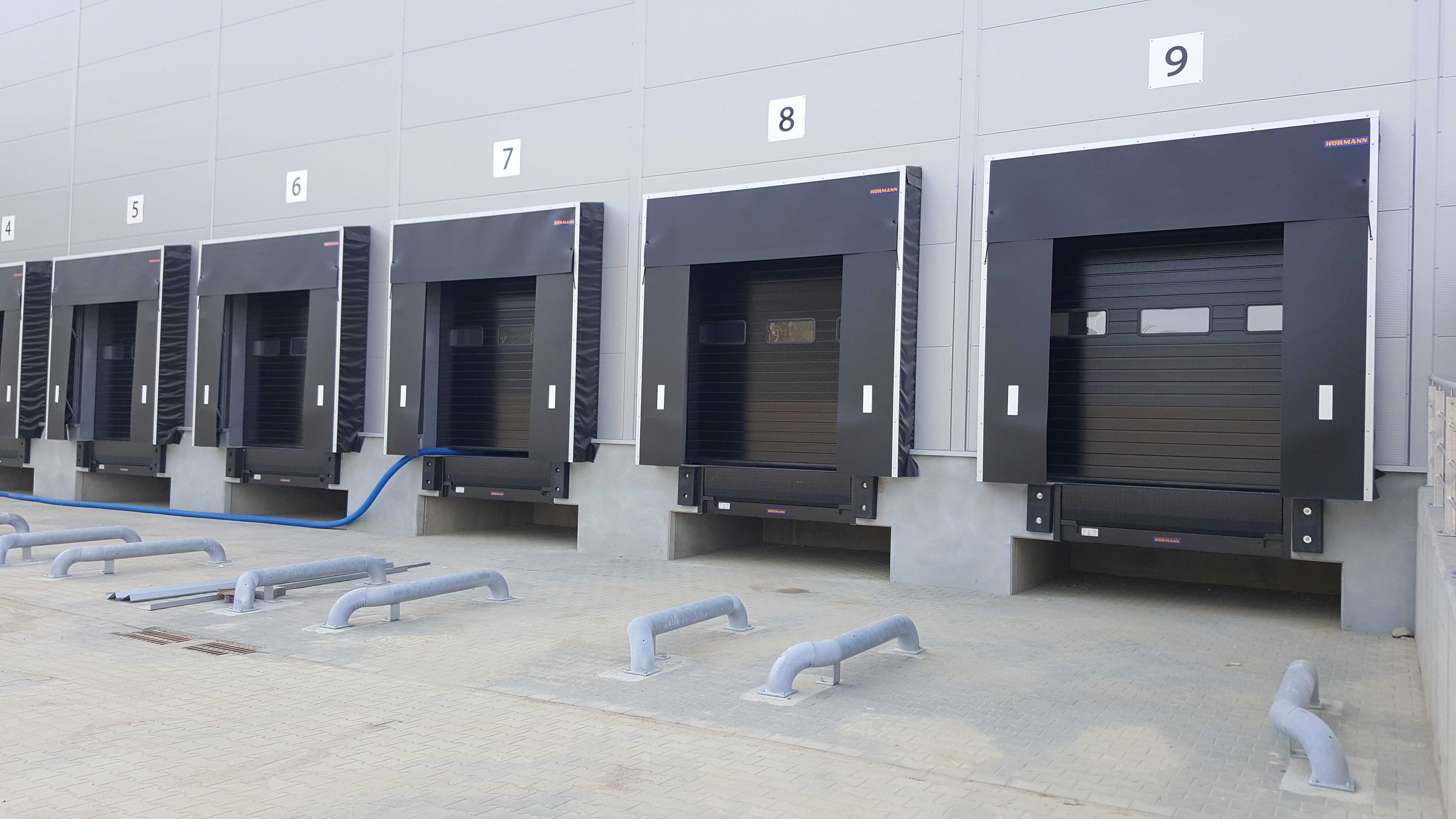 WAIMEA CORGO TERMINAL GOLENIÓW